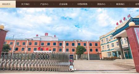 药焕新章，智联未来——安徽新*药业网站创意主题设计